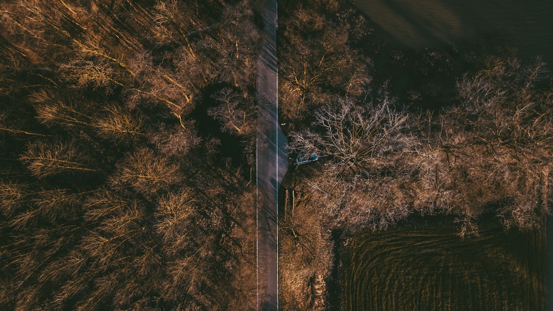 Photo AI-powered drones