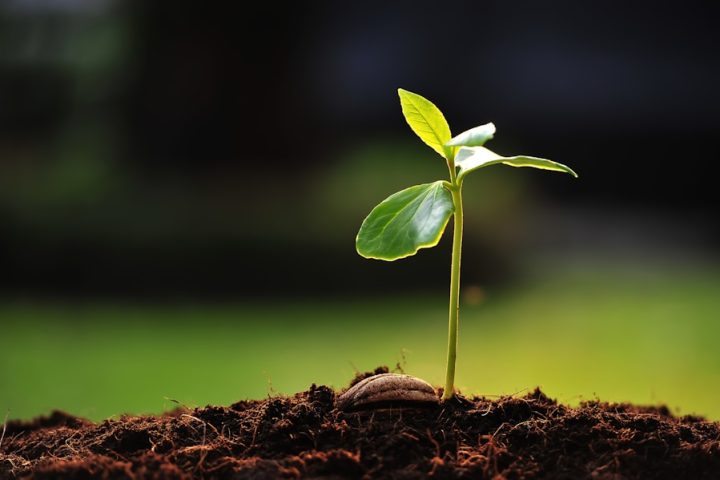 Photo "Develop a solid business strategy for sustainable growth"