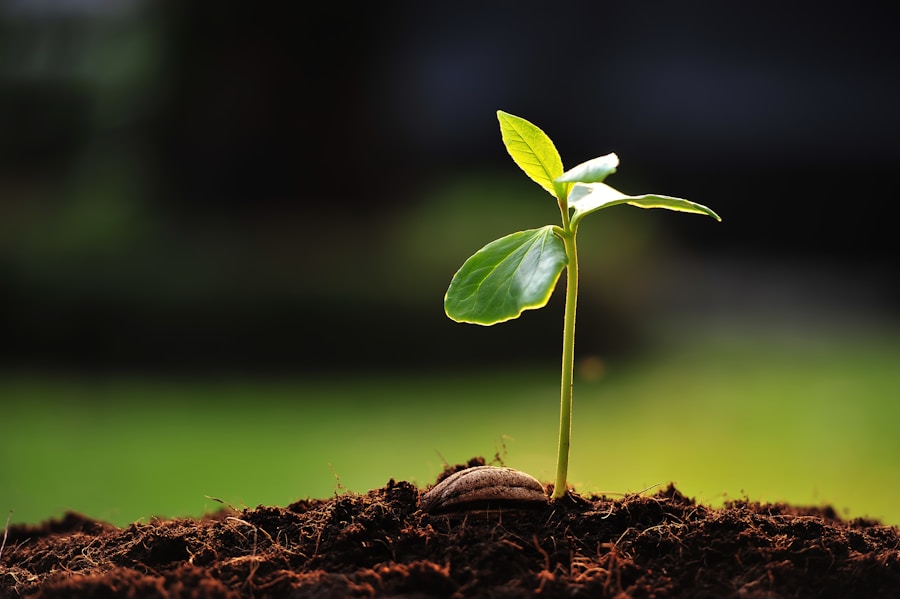 Photo "Develop a solid business strategy for sustainable growth"