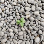 Photo Growth mindset: Overcoming challenges and learning from mistakes